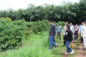 Read more about the article ឯកឧត្តម ប៉ែន កុសល្យ អញ្ជើញចុះទស្សនកិច្ចសិក្សាស្វែងយល់ពីផលិតកម្ម  ដំណាំកាហ្វេ  របស់កសិករនៅភូមិកំពាន់ ឃុំកំពាន់ ស្រុកមេមត់