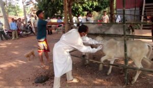 Read more about the article មន្ត្រីជំនាញផ្នែកបសុព្យាបាលខេត្តត្បូងឃ្មុំ អញ្ជើញចុះចាក់វ៉ាក់សាំងសត្វពាហន: នៅតាមខ្នងផ្ទះ របស់ប្រជាពលរដ្ឋ ដើម្បីធានាបាននូវសុវត្តិភាពសុខភាពគោក្របីរបស់ប្រជាពលរដ្ឋ